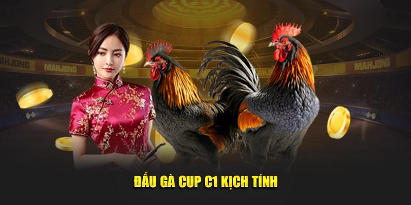 Dau-ga-cup-C1-kich-tinh