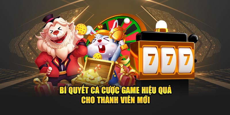 bi-quyet-ca-cuoc-game-hieu-qua-cho-thanh-vien-moi