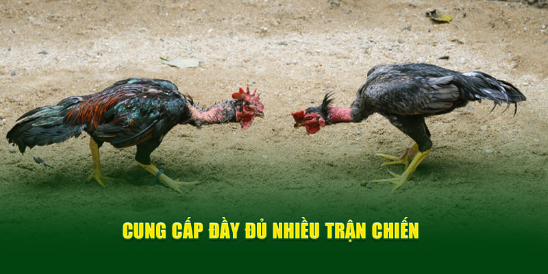 cung-cap-day-du-nhieu-tran-chien