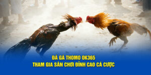 da-ga-thomo-ok365-tham-gia-san-choi-dinh-cao-ca-cuoc