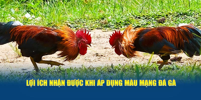 loi-ich-nhan-duoc-khi-ap-dung-mau-mang-da-ga