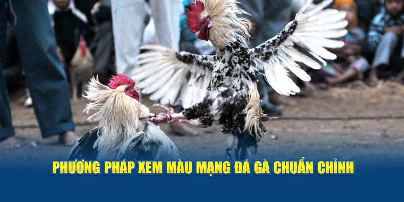 phuong-phap-xem-mau-mang-da-ga-chuan-chinh