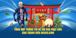 tong-hop-thong-tin-ve-soi-keo-phat-goc-cho-thanh-vien-ok365-com