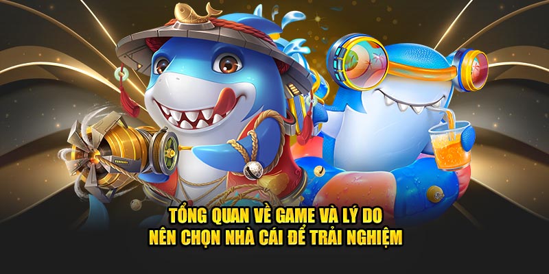 tong-quan-ve-game-va-ly-do-nen-chon-nha-cai-de-trai-nghiem