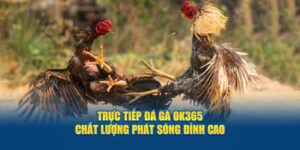 truc-tiep-da-ga-ok365-chat-luong-phat-song-dinh-cao